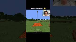 Minecraft Fox Moment