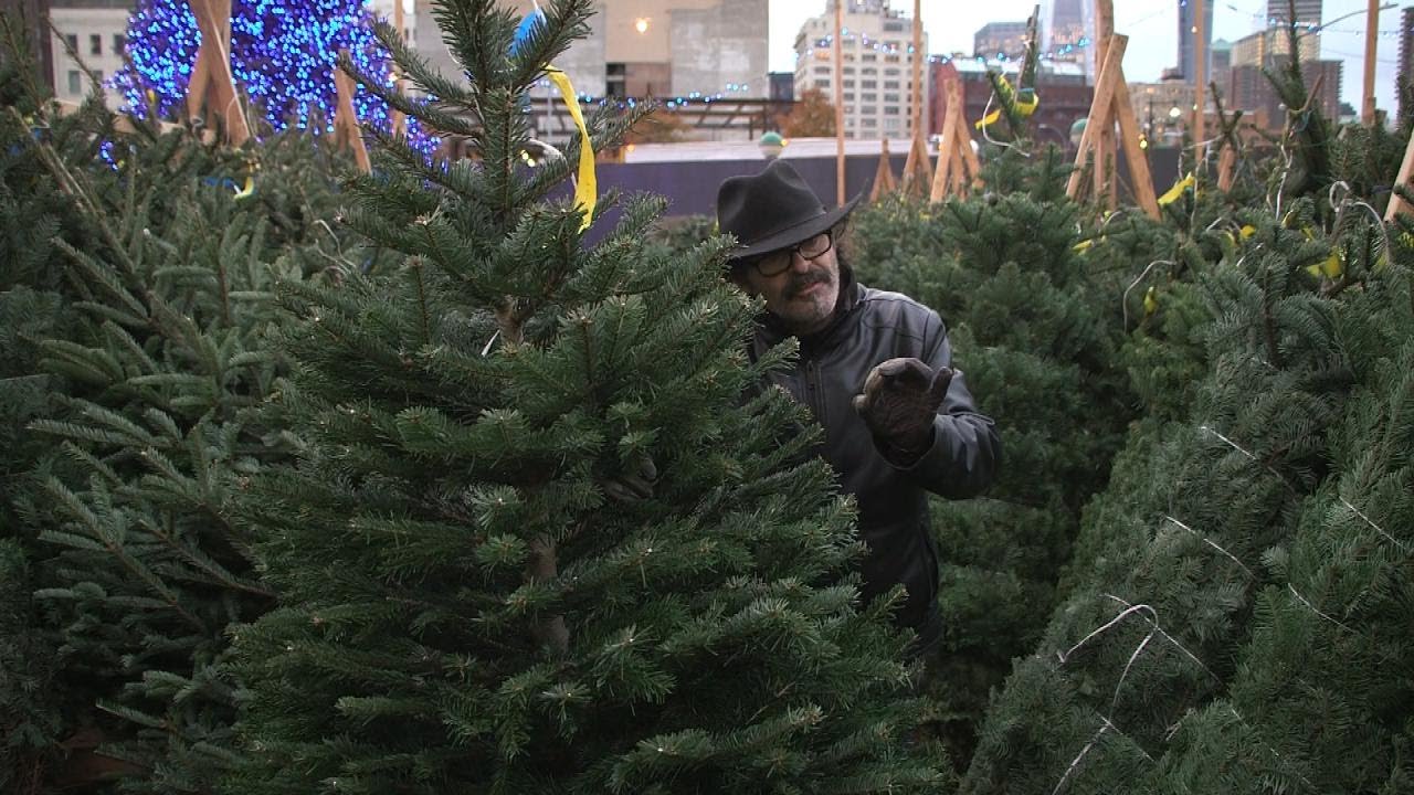 What Do the Holidays Look Like for Christmas Tree Vendors? - YouTube