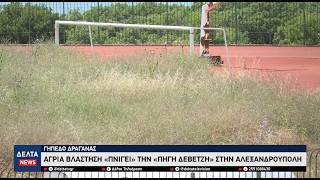 Αλεξανδρούπολη: Εικόνες ντροπής και πλήρους εγκατάλειψης στο Γήπεδο της Δραγάνας