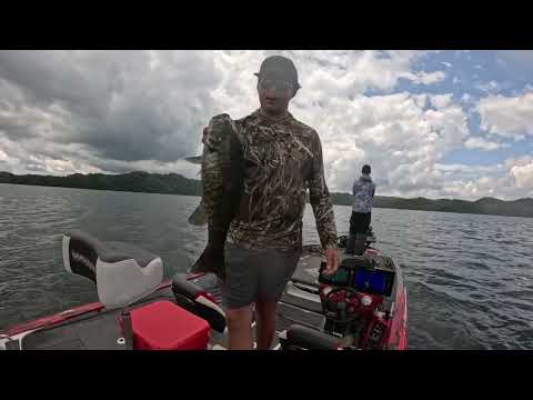 Dale Hallow Bassin