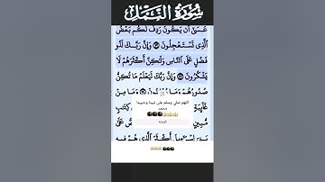 سورة النمل الآية 73 #قرآن #تلاوات #سورة
