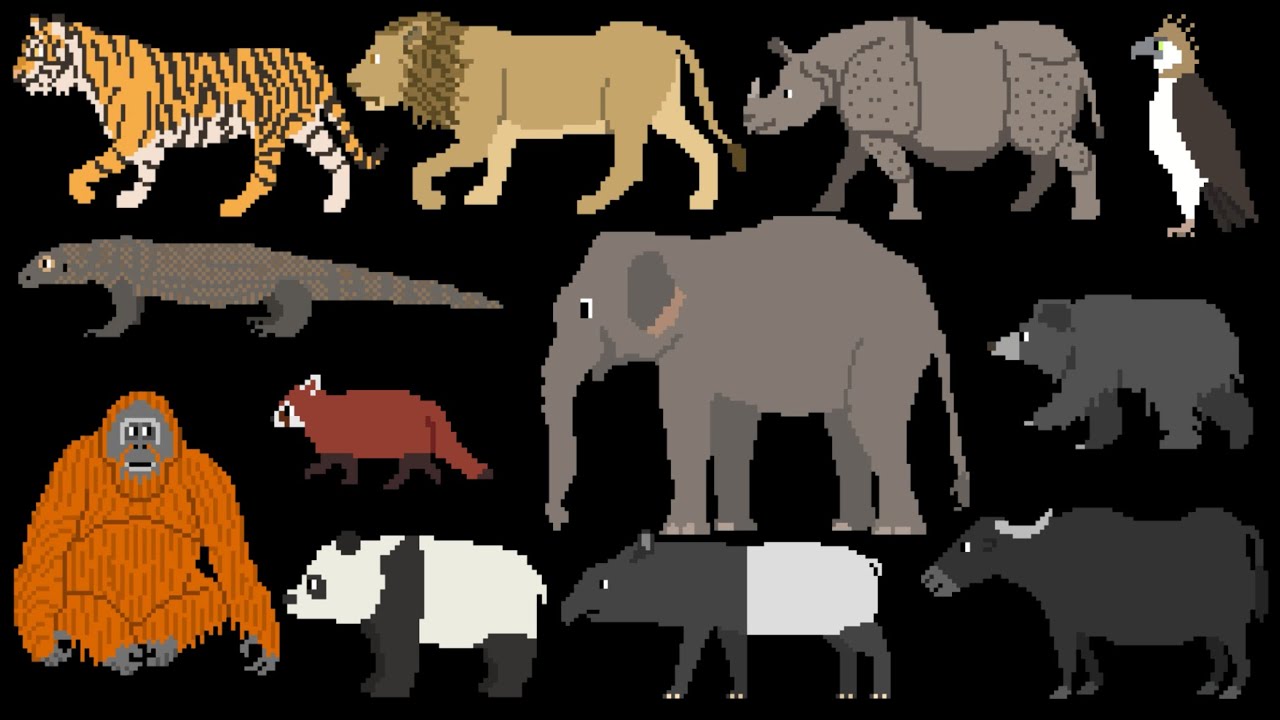 Asian Animals - @TheKidsPictureShow