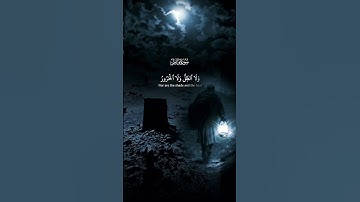 وَمَا يَسْتَوِي الأعْمَى وَالْبَصِيرُ #قرآن #قران_كريم #سورة_فاطر #اكسبلور #quran #foryou #muslim