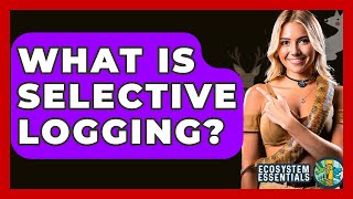 What Is Selective Logging? - Ecosystem Essentials