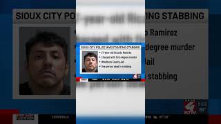 Suspect in custody after stabbing left one dead