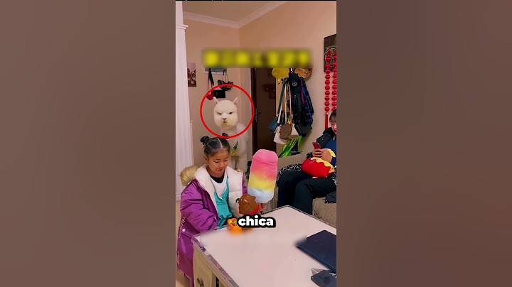 ¡Una llama roba algodón de azúcar y causa caos!