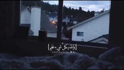 حالات قرآن ما أصاب من مصيبة إلا بإذن الله بصوت القارئ رعد الكردي🍁🍁