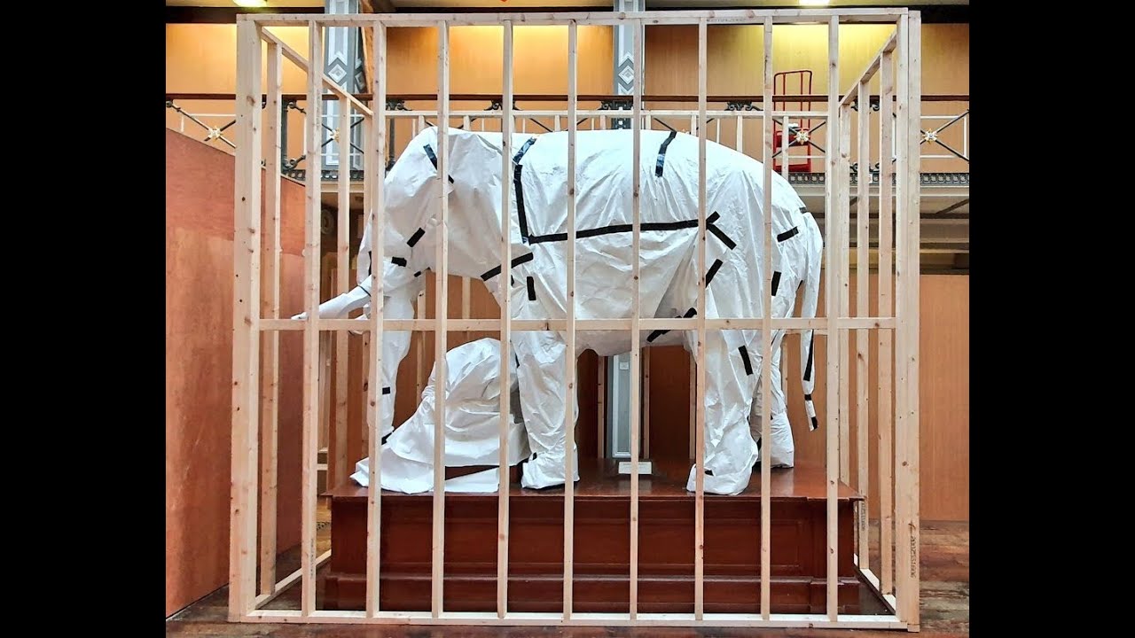 The next stage of the refurbishment & conservation of the National Museum of Ireland Natural History