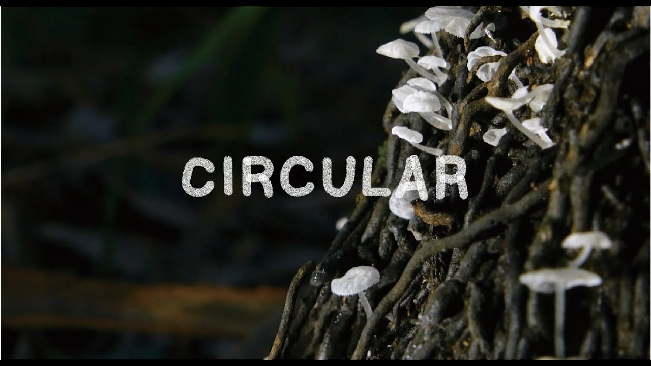 What is Biological Intelligent design?