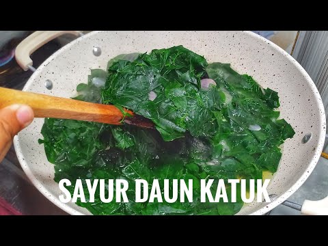 Resep Sayur Katuk Bening