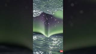 Did the Aurora Split Itself… or Did It Fold Because You Were Watching? 🌌❄️