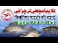 Tilapia Fish Bait (Charai) -تلاپیا مچھلی کی چرائی - ( हिंदी اردو )