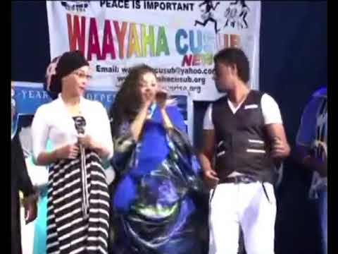 Wacdarihii Waayaha cusub