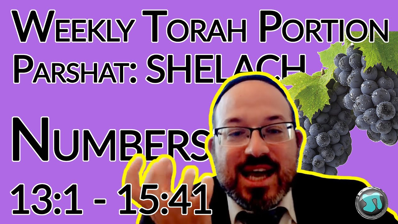 Weekly Torah Study with the Torah Studio
