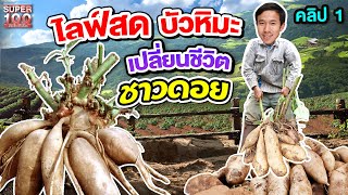 คลิป 1 | "คิน" พ่อค้าบัวหิมะไลฟ์สด ส่งตรงจากดอย เผยวิถีชีวิตชาวดาราอั้ง | SUPER100