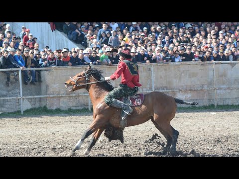 Video: Аносмия качан бүтөт?