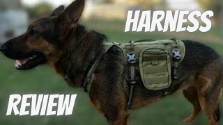 Our Favorite Harness/Backpack Combo for Dogs