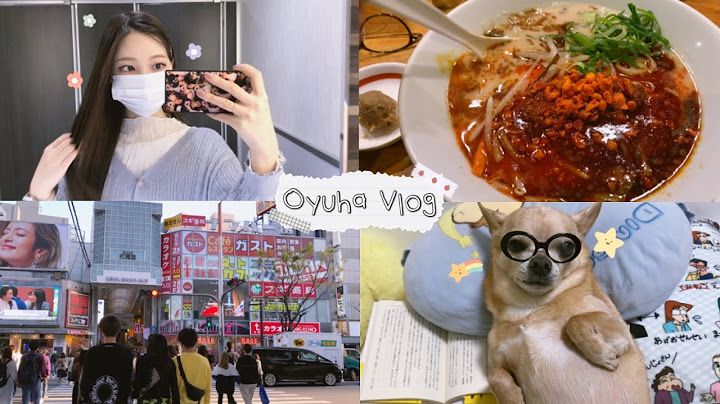 일본 오사카 Vlog | 일본 미용실에서 애쉬 염색, 비오는 날 라멘, 비자 재발급, 난바에서 쇼핑하고 카페가기, 왕크니까 왕귀여운 왕치와와 브이로그