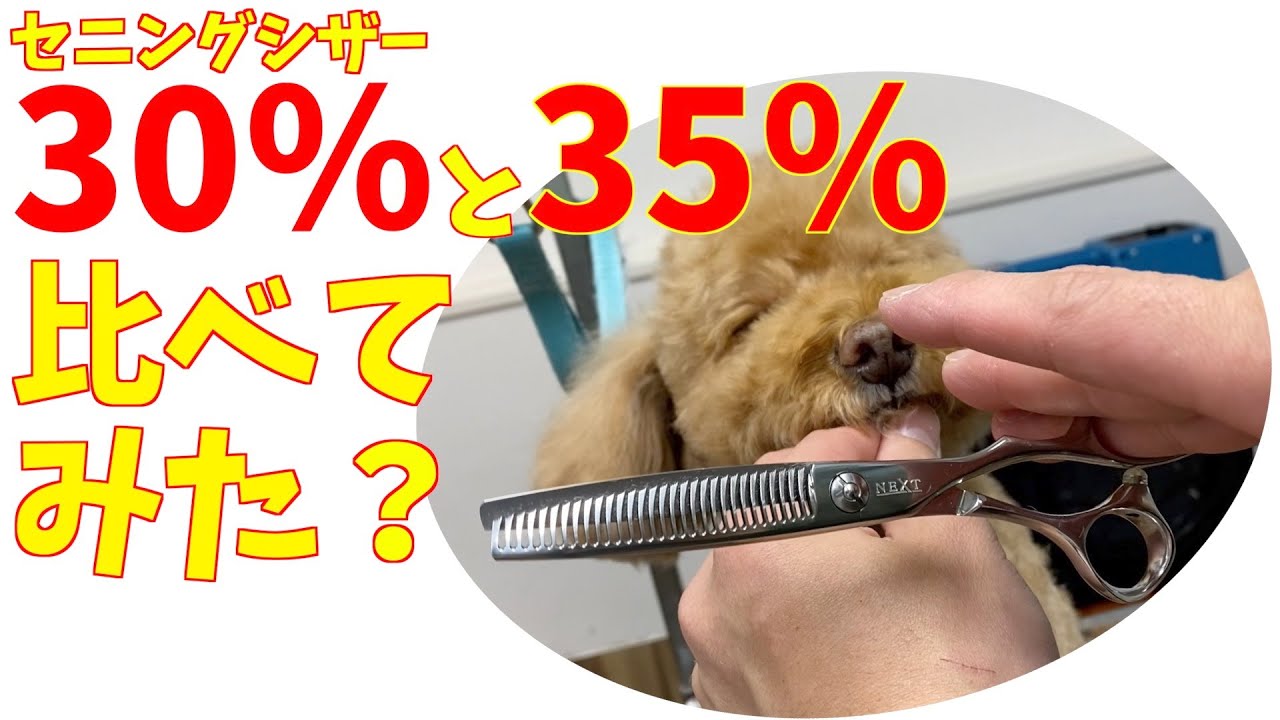 プロ用カーブセニングシザーブレンダーブレンディングトリミングペットママミング犬猫 プロ用カーブセニングシザーカーブブレンディングシザー