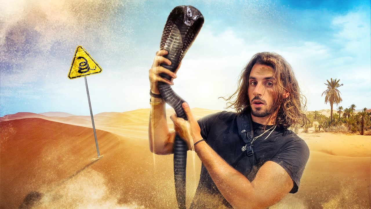 J'ai attrapé le serpent le plus mortel d'Afrique du Nord ! (techniques ancestrales)