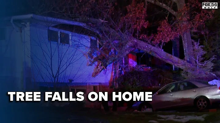 Tree falls on occupied home, no injuries reported
