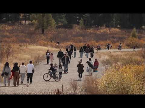 САНЗАЙ ХИЙМЭЛ НУУР 0920