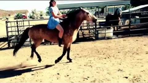 This is me @jumping_spirit