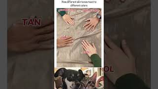 🤣👌2026 pov Must-Watch Crazy Clips Compilation #humor #fypシ #pov #fyp #foryou 😍😜