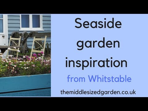 Videó: Tengerparti kertek – Fogd el a hullámot a tengerparti kertészkedéssel – Kertészeti tudás