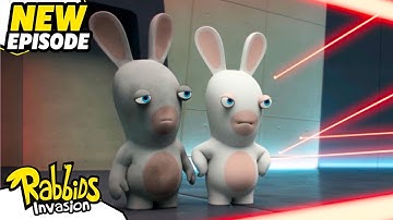 Rabbids in the maze (S04E27) | RABBIDS INVASION | New episodes | Cartoon for Kids