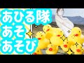【温泉女子】人気の隠れ家!内牧温泉湯の宿入船❤️草千里と阿蘇神社の旅Uchinomaki Hot spring