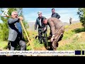 لە سیدەکان هەڵمەتی نەمام چاندن بەڕێوەچوو