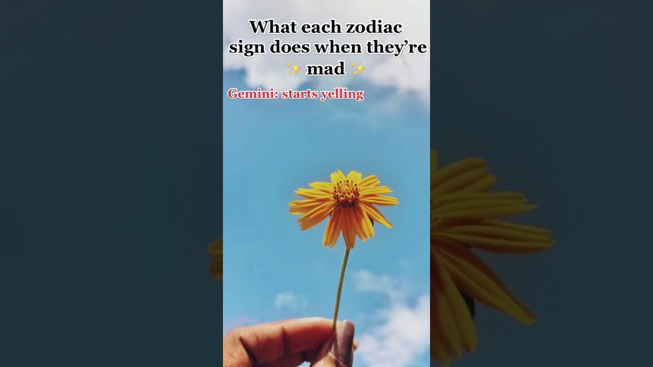 What Each zodiac Sign Does When They're Mad | Zodiac Signs  