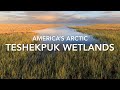 Americas arctic  teshekpuk wetlands