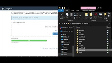 Uploading zipped files to cpanel