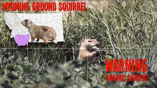 Hunting for Ground Squirrels with the BRK Ghost using the 22 caliber SLLUG Barrel!