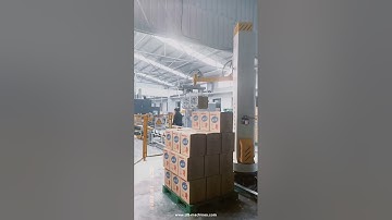 Robot hand carton box palletizing machine pallet packing system