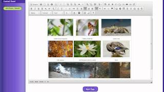 SiteSkins: Using Tables in Text Editor (pt.3) Net Worth