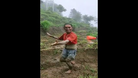 VELOCITY EDIT | OP DANCE | #edit #velocity #velocityedit #shorts #viral #tiktok #tiktokvideo #trend