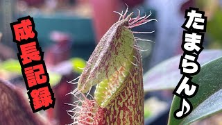 Growth Record] Introducing the September progress of our Highland