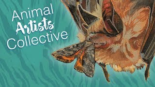 Animal Artists Collective // Temperate Forests — Northern Long-Eared Myotis // Mary Sanche