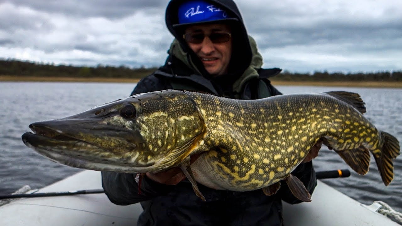 Pike fishing in Ireland with Nathan Edgell. YouTube