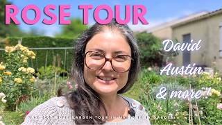 2026 rose garden tour: come walk with me during peak rose season !