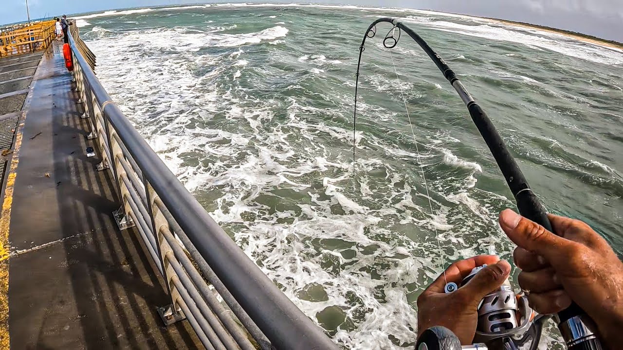 Best Jetty Fishing Ever EVERY SINGLE BAIT YouTube