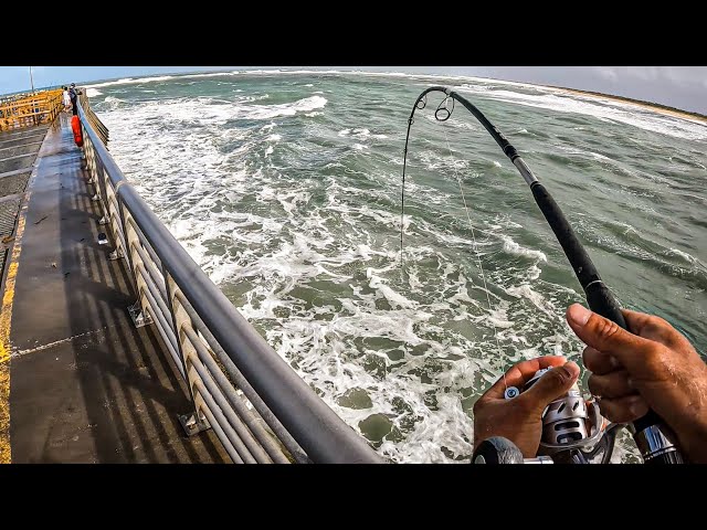 Best Jetty Fishing Ever - EVERY SINGLE BAIT 