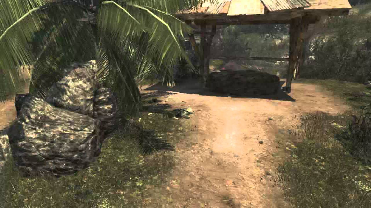 SimbaXI - MW3 Game Clip