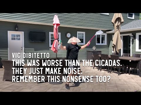 This was worse than the cicadas. They just make noise. Remember this nonsense too?
