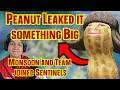 Peanut Leaked the Apex Legends Tournament | Monsoon and the team joined Sentinels | Apex Legends