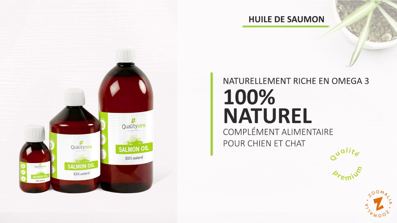 Huile de saumon 500ml : Boutique en ligne d'accessoires canins chics et  branchés