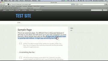 WordPress Tutorial -- Change Text Size & Font